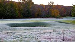Frost_Photo_2