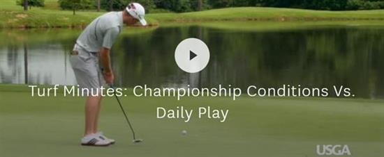 Championship_Conditions_vs_Daily_Play