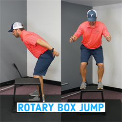 rotary_box_jump